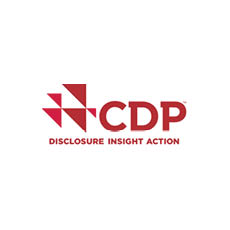 230x230 CDP