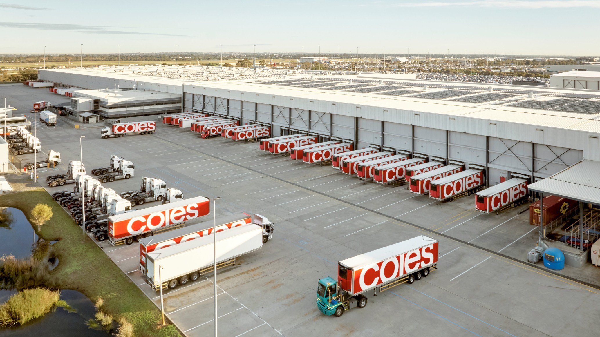 Coles