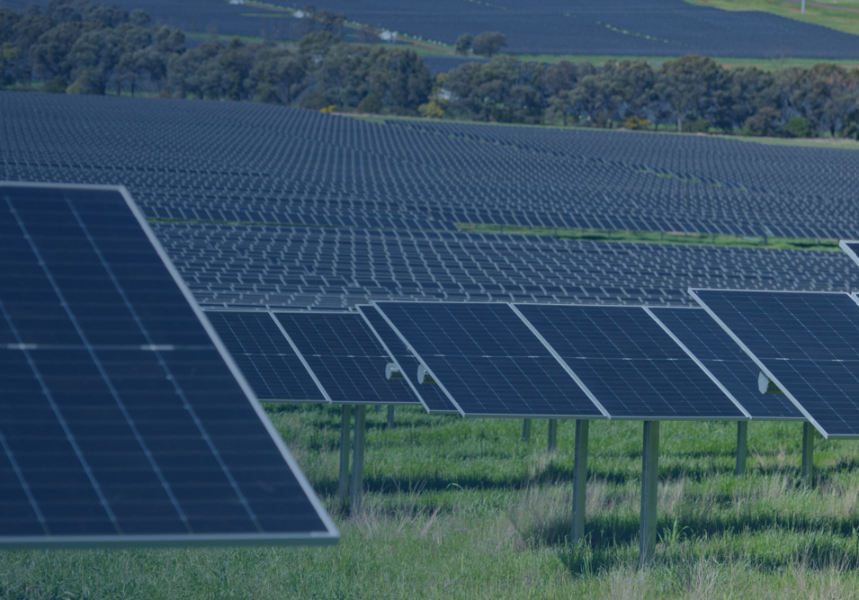 Sustainability